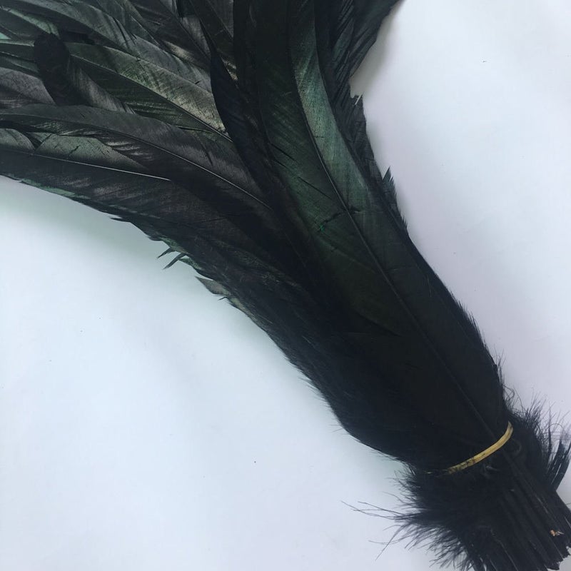 Shekyeon 12-14inch Rooster Tail Feather Used Hats Costume Decoration Pack of 50(Black) - Image 2